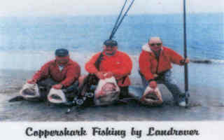 coppershark fishing
